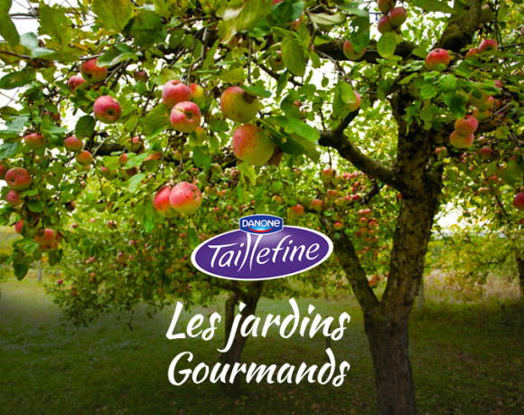 Naming Les Jardins Gourmands