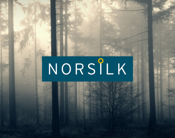 Norsilk