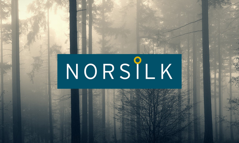 Norsilk