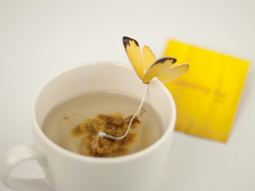 Packaging thé (7)
