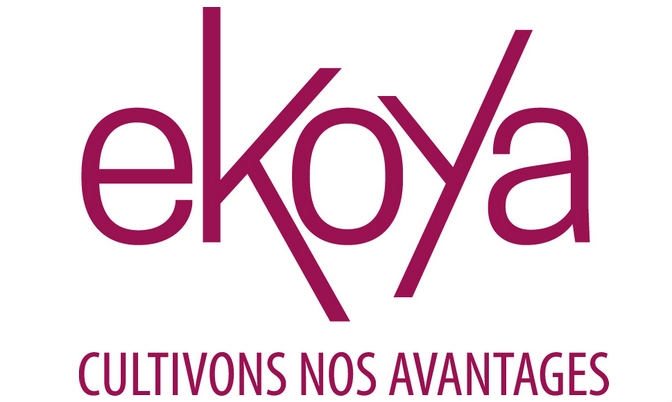 Ekoya, le nouveau nom du Club Camif